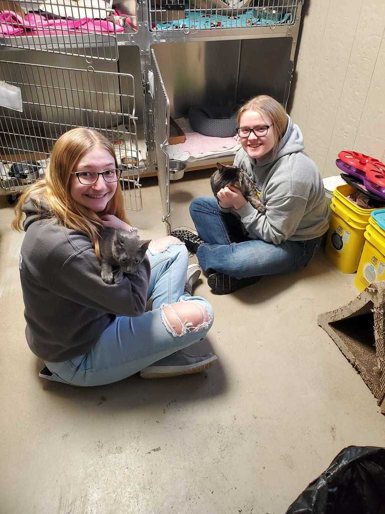 Two girls sitting on the floor playing with cats