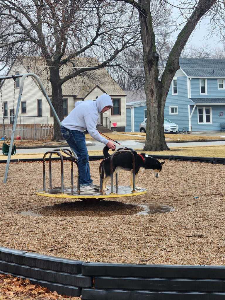 A boy and dog on the merry-go-round