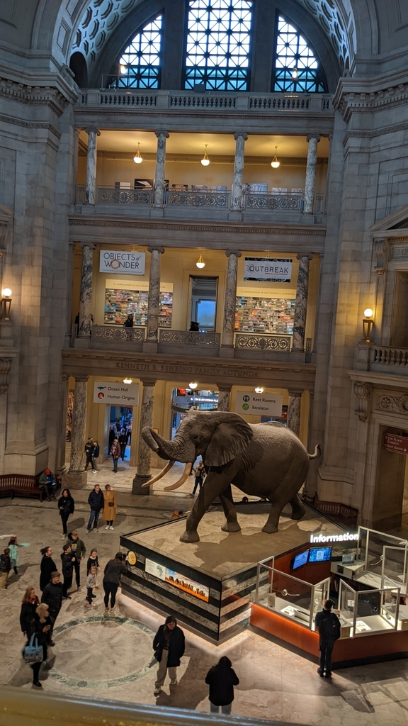 Smithsonian Museum of Natural History 